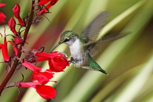 Moment Of Joy